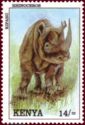 Black Rhinoceros (Diceros bicornis)