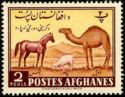 Horse, Sheep and Camel
