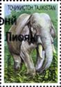 Asian Elephant (Elephas maximus) - Overprint