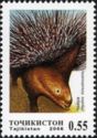 Indian Crested Porcupine (Hystrix hirsutirostris)