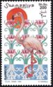 Greater Flamingo (Phoenicopterus roseus