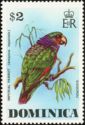 Imperial Parrot (Amazona imperialis)