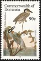 Yellow-Crowned Night Heron (Nyctanassa violacea)