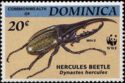 Hercules Beetle (Dynastes hercules)