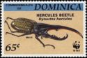 Hercules Beetle (Dynastes hercules)