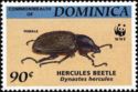 Hercules Beetle (Dynastes hercules)