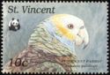 St. Vincent Parrot (Amazona guildingii)