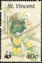 St. Vincent Parrot (Amazona guildingii)