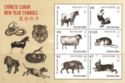 Chinese Lunar New Year Symbols