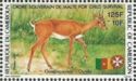 Sudan Oribi (Ourebia ourebi)