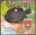 Threespot Dascyllus (Dascyllus trimaculatus)