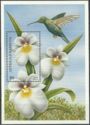 Miltonia Seine and Hummingbird