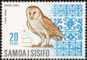 Barn Owl (Tyto alba)