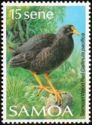 Samoan Wood Rail (Gallinula pacifica)