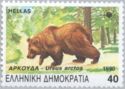 Brown Bear (Ursus arctos)