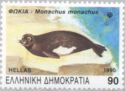 Mediterranean Monk Seal (Monachus monachus)
