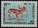 Persian Gazelle (Gazella subgutturosa)