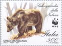 Marsican Brown Bear (Ursus arctos marsicanus)