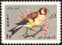 European Goldfinch (Carduelis carduelis)