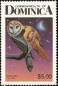 Barn Owl (Tyto alba)