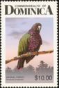 Imperial Parrot (Amazona imperialis)