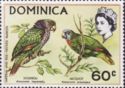 Imperial Parrot (Amazona imperialis), Red-necked Prrot (Amaz