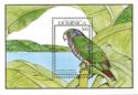 Imperial Amazone (Amazona imperialis)