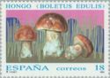 Cep (Boletus edulis)