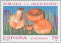 Milk Cap Mushroom (Lactarius Deliciosus)