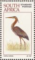 Purple Heron (Ardea purpurea)