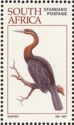 African Darter (Anhinga rufa)