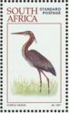 Purple Heron (Ardea purpurea)