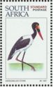 Saddle-billed Stork (Ephippiorhynchus senegalensis)