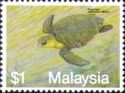 Olive Ridley Turtle (Lepidochelys olivacea)