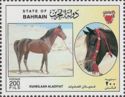 "Kuheilaan Aladiyat" (Equus ferus caballus)