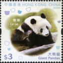 Giant Panda (Ailuropoda melanoleuca)