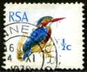African Pygmy Kingfisher (Ispidina picta)
