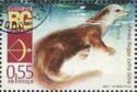 Eurasian Otter (Lutra lutra)