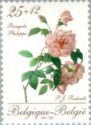 Promotion Philately - Rose "Bengale Philippe"