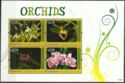 Orchids 2011 mini sheet
