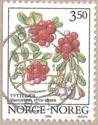 Cowberry (Vaccinium vitis-idaea)