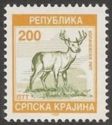 Red Deer (Cervus elaphus)