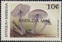 Lilac Fairy Helmet (Mycena pura) - Overprinted