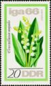 Lily of the Valley (Convallaria majalis)