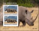 Black Rhinoceros (Diceros bicornis)