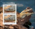 Nile Crocodile (Crocodylus niloticus)