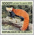 Himalayan Red Panda (Ailurus fulgens)