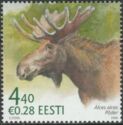 Moose (Alces alces)