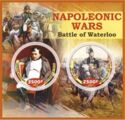 Napoleonic Wars Battle of Waterloo