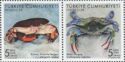 Crabs of Turkey